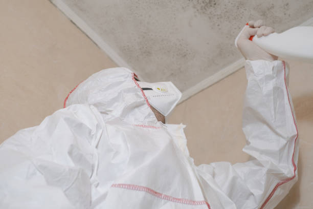 Best Commercial Mold Removal  in Ely, IA